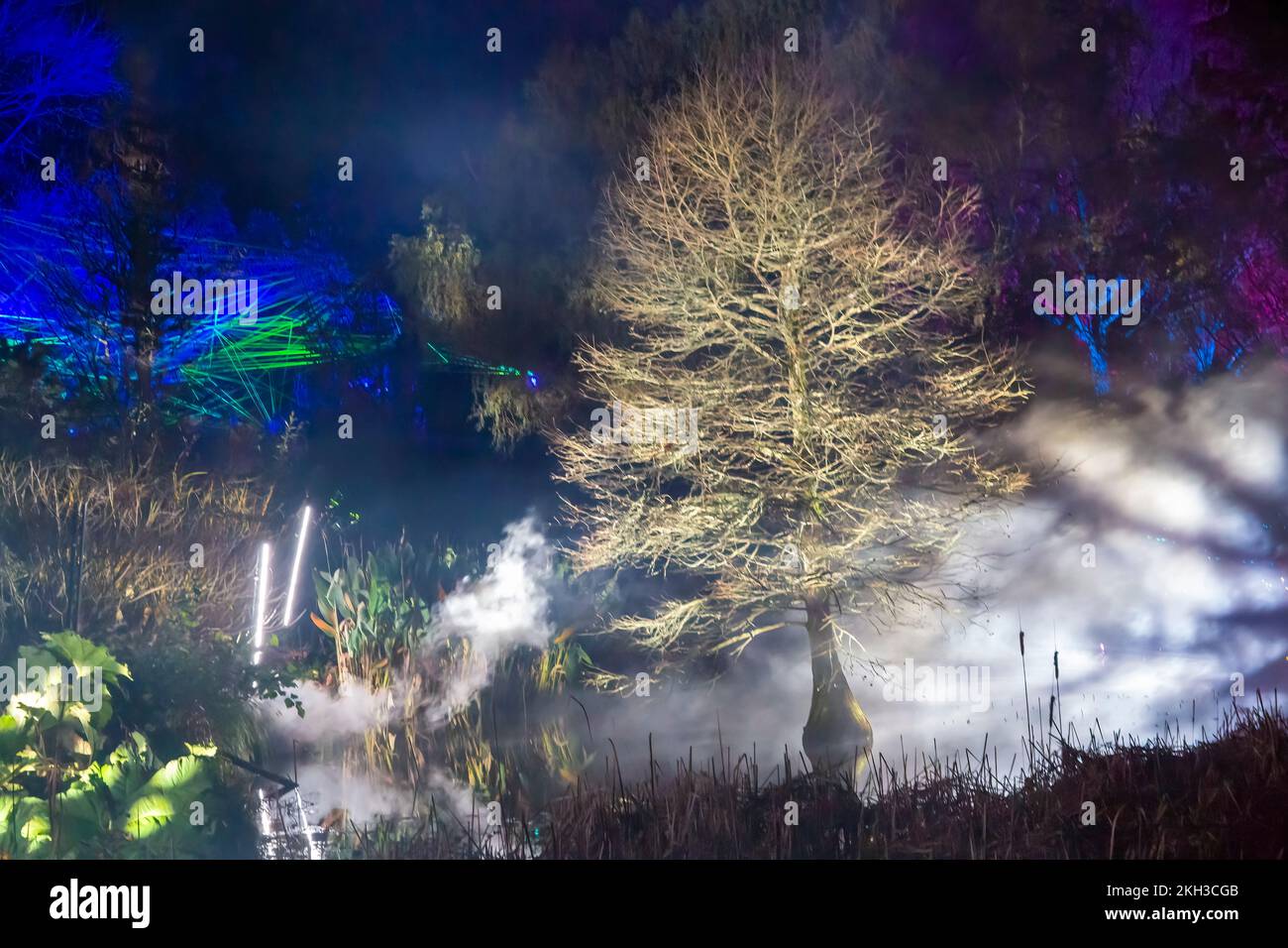 Romsey, Hampshire, Regno Unito. 23rd novembre 2022. Anteprima serata di Light Up Trails presso Sir Harold Hillier Gardens a Romsey, che si apre domani con un'esperienza coinvolgente di un chilometro e mezzo creata da Light Up Trails. Rinomati in tutto il mondo per le sue collezioni di alberi e piante rare, i magnifici giardini sono visti in una nuova luce eccitante questo Natale mentre la premiata attrazione per i visitatori apre le sue porte dopo il tramonto per una speciale nuova esperienza assolutamente bella con le luci che accentuano il paesaggio, come non sono mai stati visti prima. Credit: Carolyn Jenkins/Alamy Live News Foto Stock