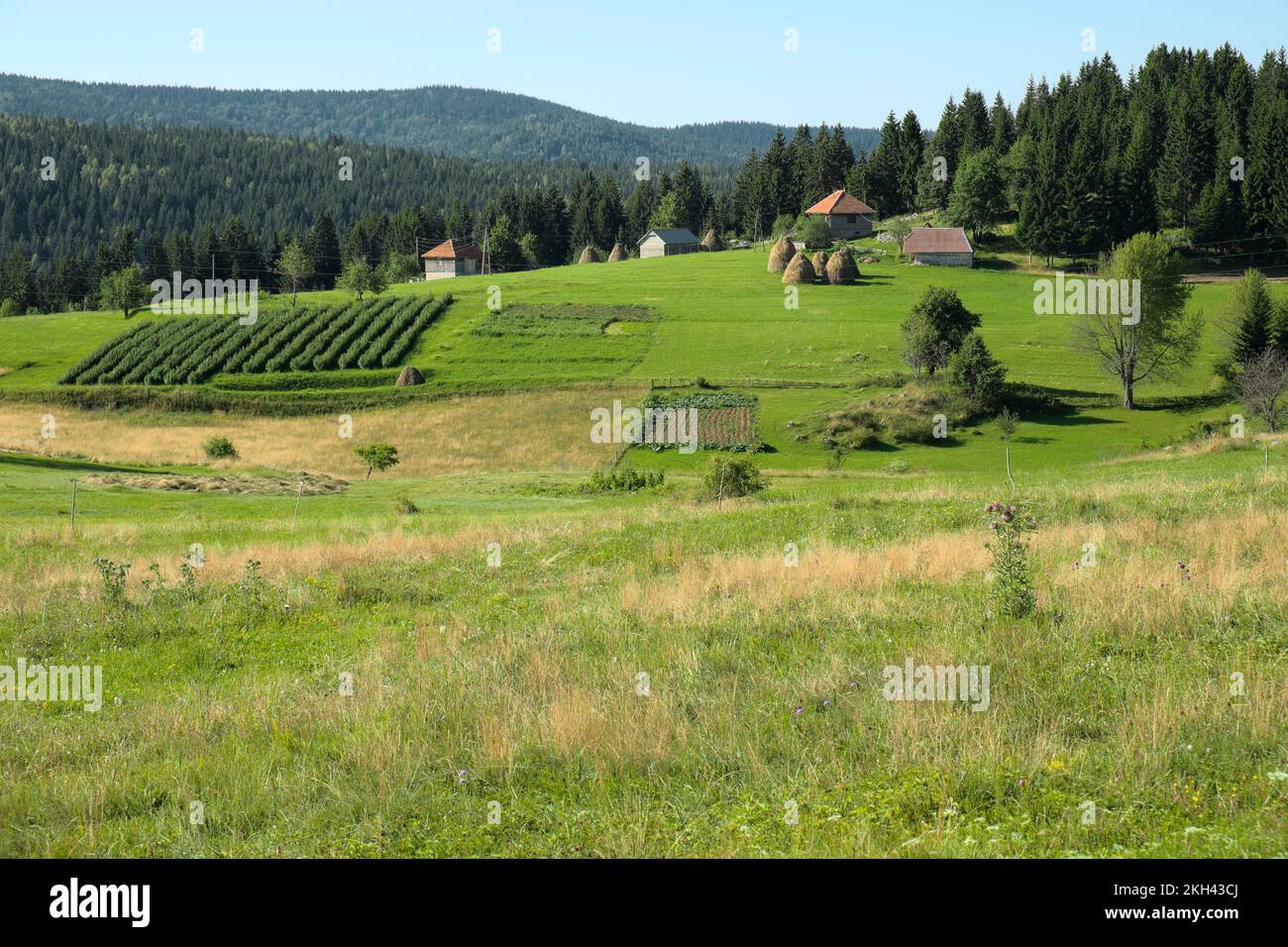 Terra di fattoria idilliaca in Serbia, Kamena Gora Foto Stock