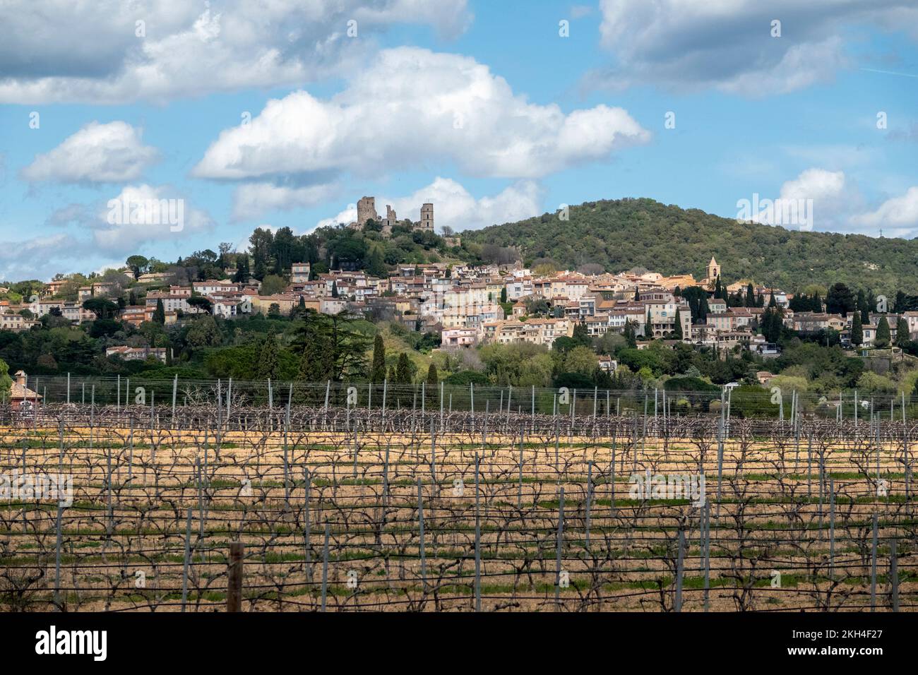 Grimaud un villaggio medievale in cima a una collina dal massiccio delle Maures. Vigneto senza foglie in inverno al primo piano. Foto Stock