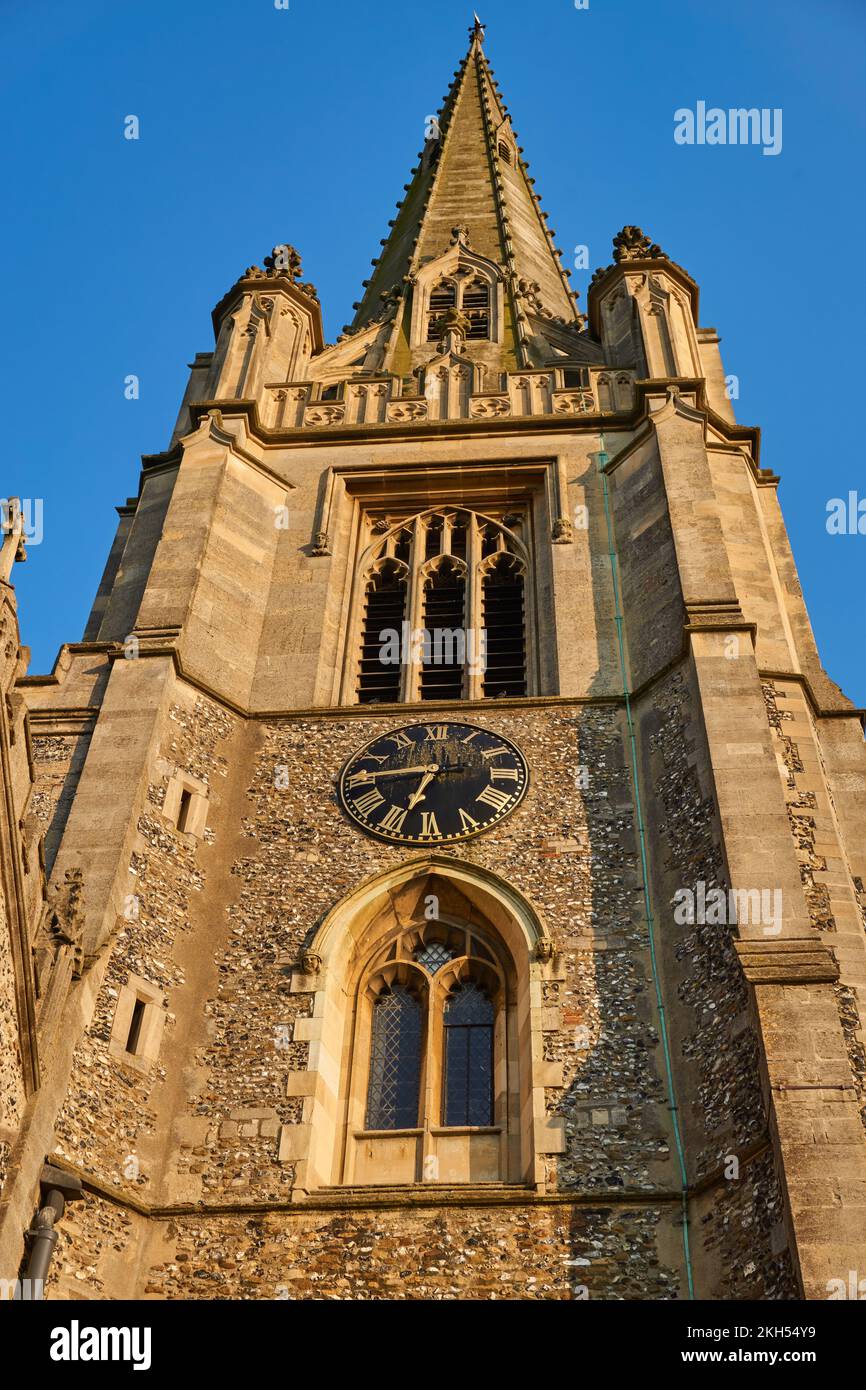 St Mary the Virgin Church gugin in Saffron Walden, Essex, UK la guglia più alta dell'Essex Foto Stock