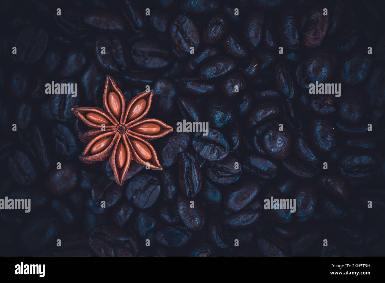 Anice stellato isolato su uno sfondo pieno di chicchi di caffè arabica. Foto Stock