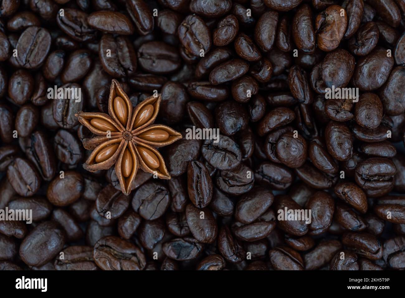 Anice stellato isolato su uno sfondo pieno di chicchi di caffè arabica. Foto Stock