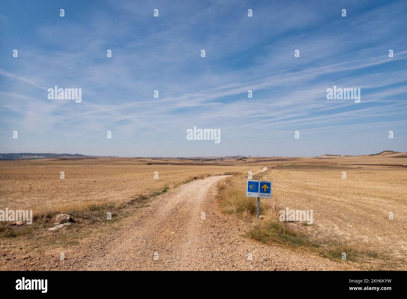 Nel vuoto: La strada del pellegrino della Via San James a Santiago de Compostela conduce direttamente attraverso la Meseta, l'infinita alta pianura castigliano. Foto Stock