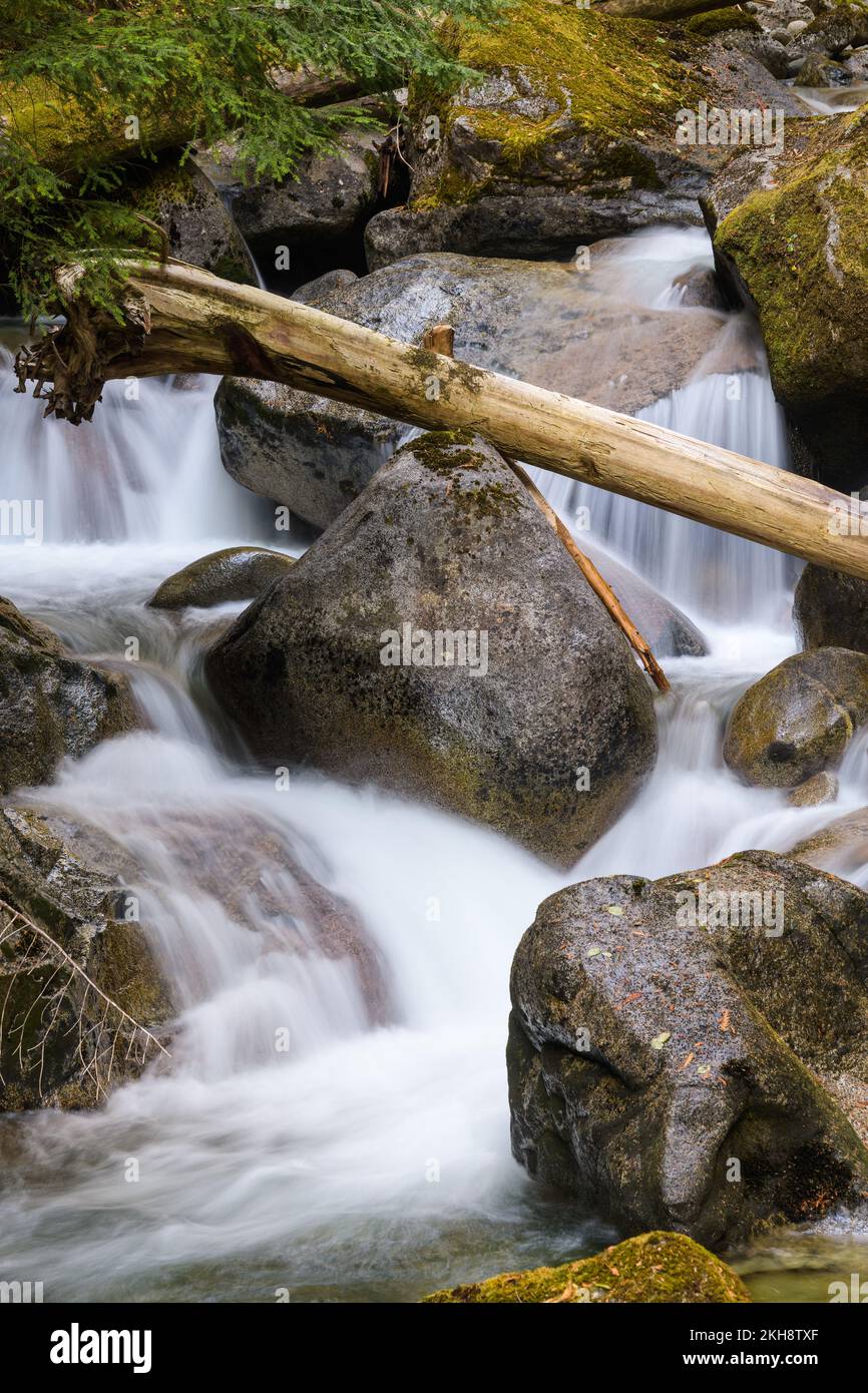 Cascata di torrente di montagna su grandi massi, un albero usurato è catturato su una roccia sopra l'acqua dolce setosa Foto Stock