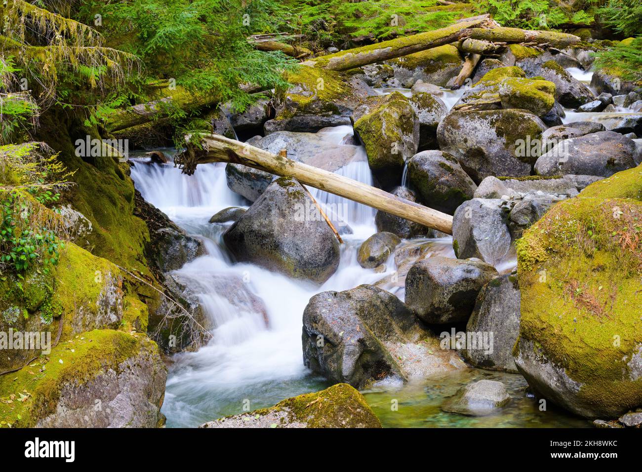 Ruscello di montagna che cade tra massi e alberi caduti con massi coperti di muschio e rocce di fiume Foto Stock