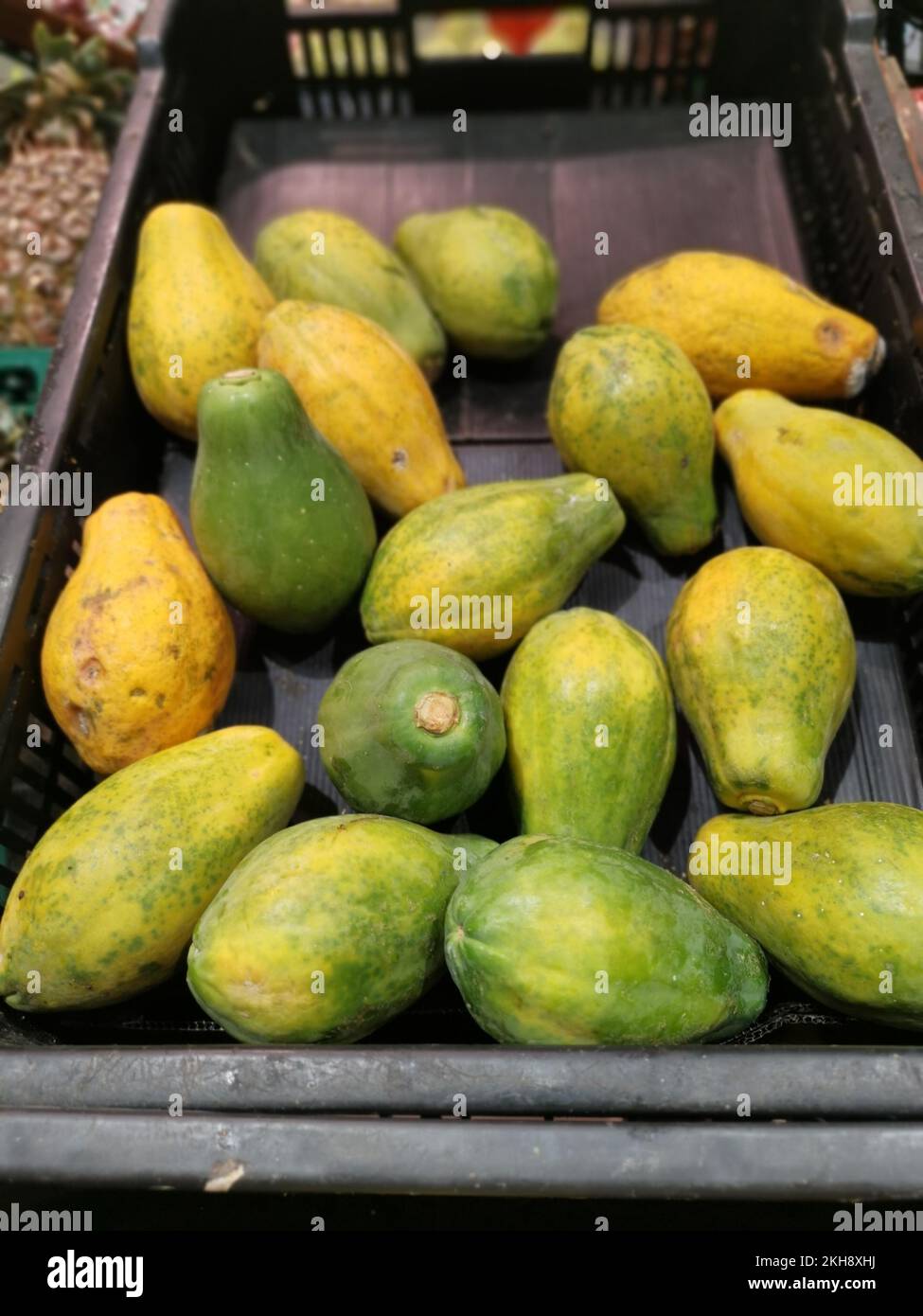 molti frutti nani di papaya. Foto Stock