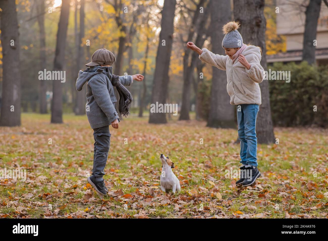 I bambini caucasici camminano con il corriere Jack russell nel parco autunnale. Ragazzo, ragazza e cane stanno saltando all'aperto. Foto Stock