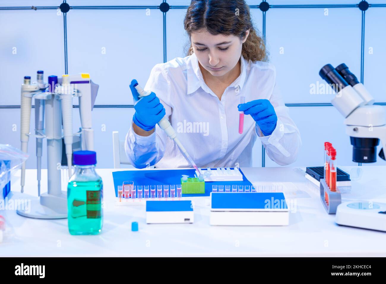 piastre da 96 pozzetti per scienziato giovane adulto con pipetta multipla Foto Stock