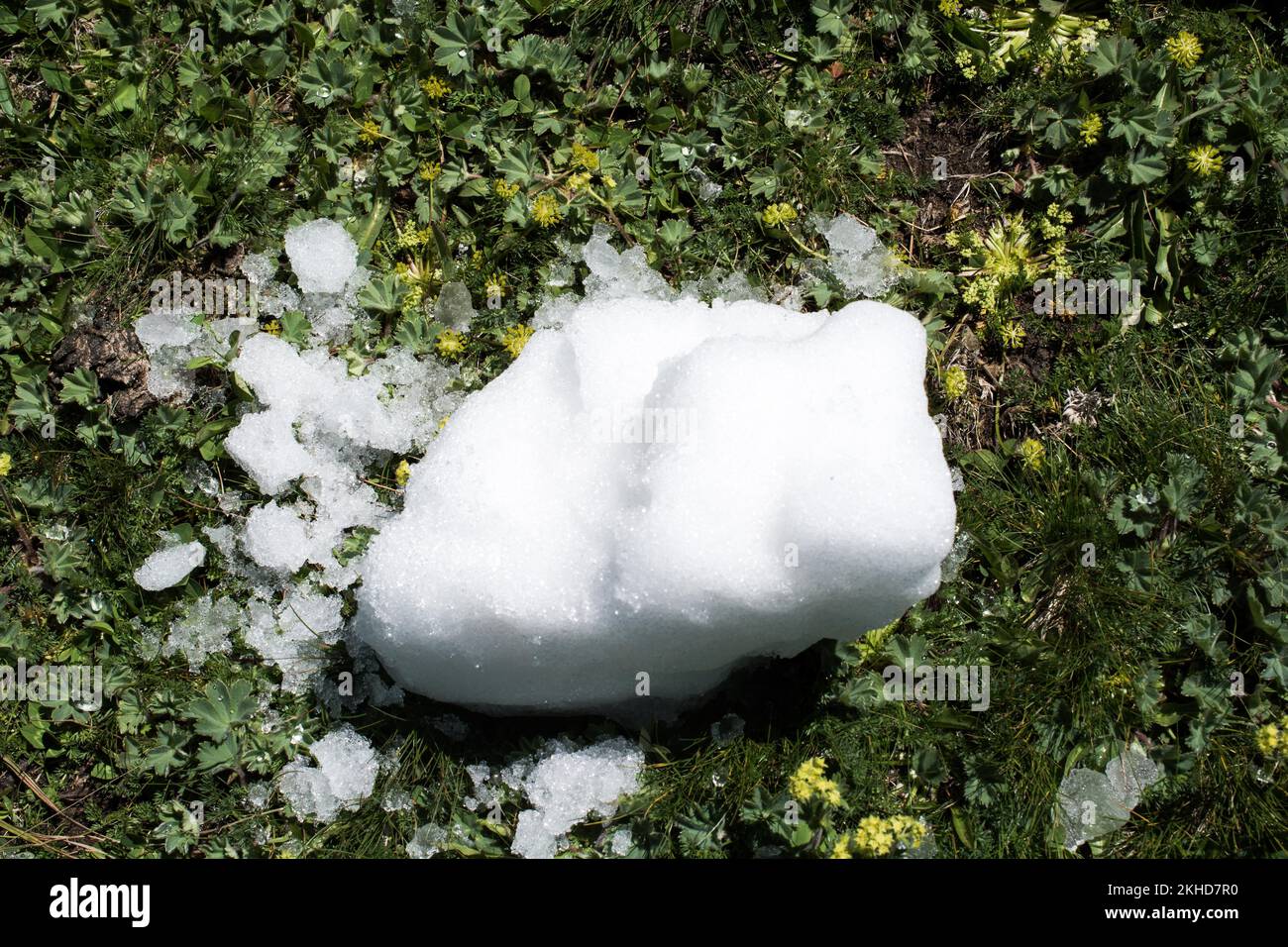 Piccola quantità di neve messo in erba verde sullo sfondo Foto Stock