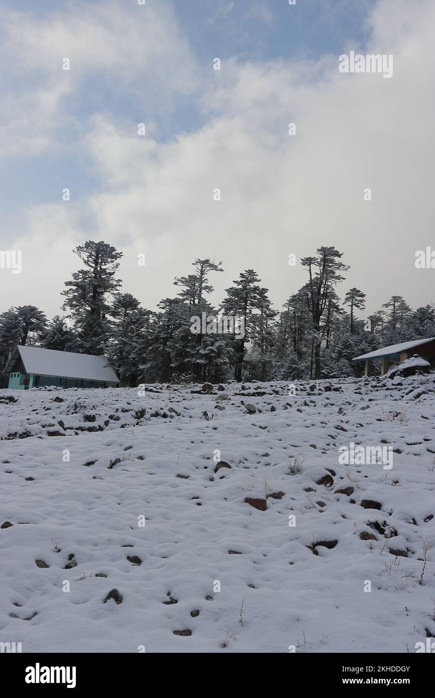bella valle coperta di neve yumthang nella stagione invernale, valle panoramica yumthang circondato dalle montagne himalaya nel nord sikkim, india Foto Stock
