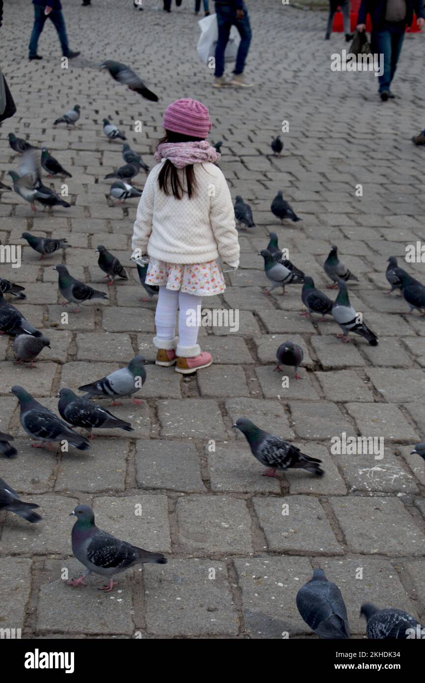 Bambina in mezzo grigio Piccioni vivi in grandi gruppi in ambiente urbano Foto Stock