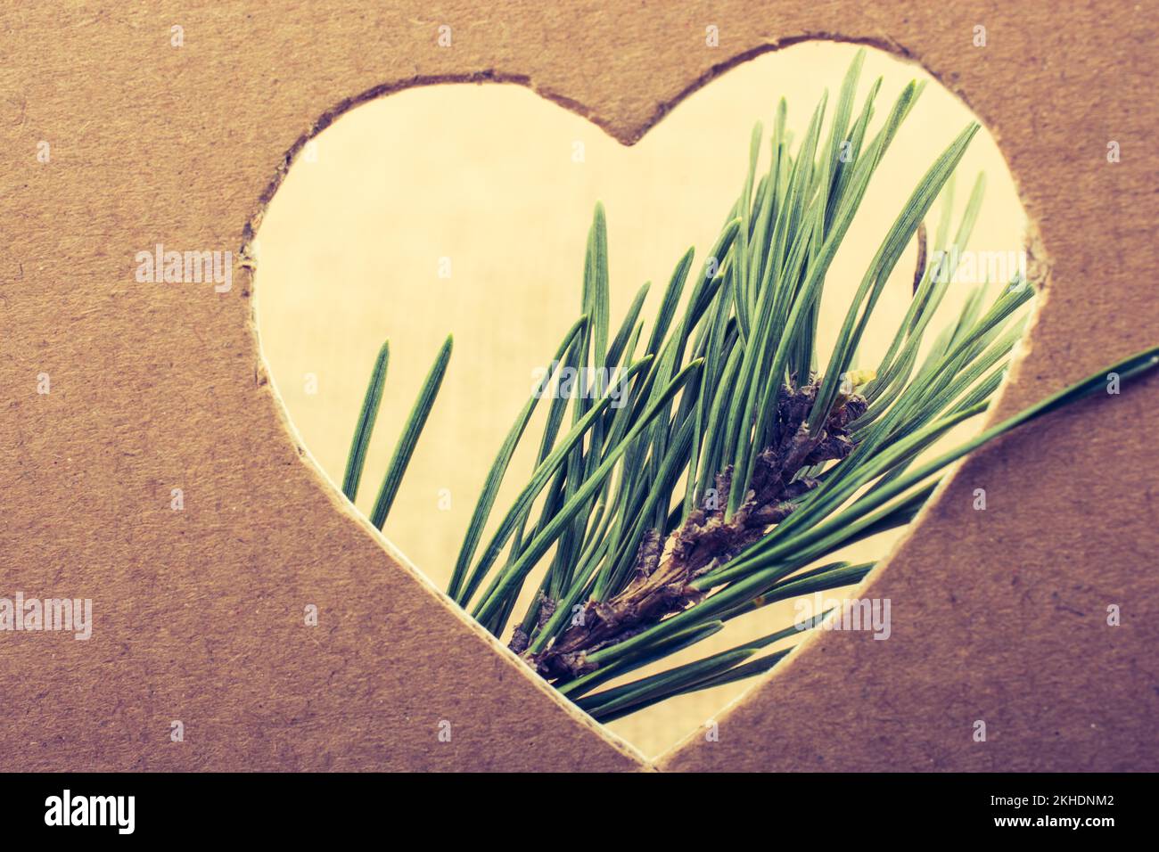 Lascia visto attraverso la forma di cuore tagliato fuori di cartone Foto Stock