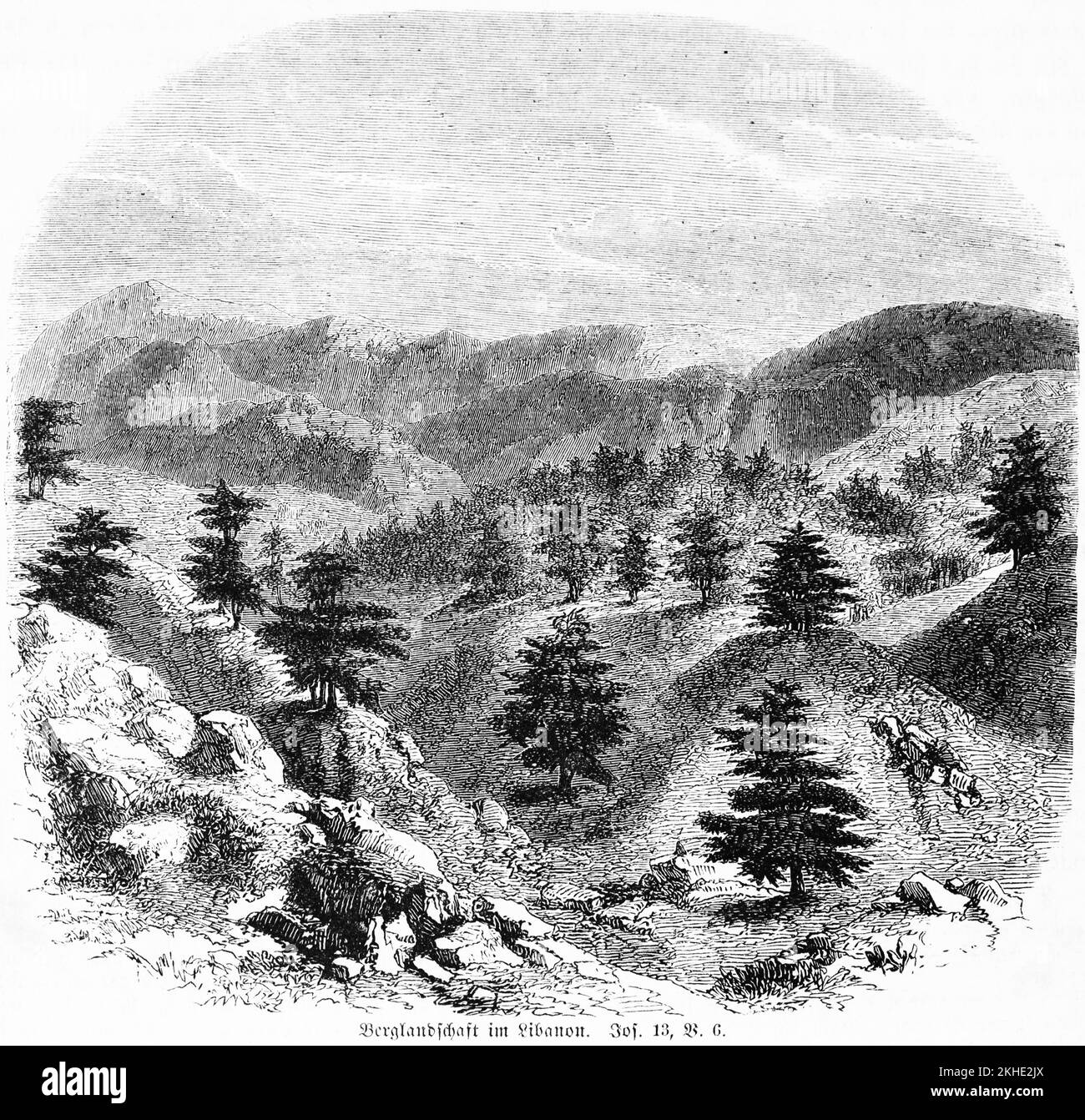 Paesaggio montano in Libano, alberi di conifere, deserti, paesaggio, Zidonians, Exel, figli d'Israele, Bibbia, Antico Testamento, il Libro di Giosuè, Foto Stock