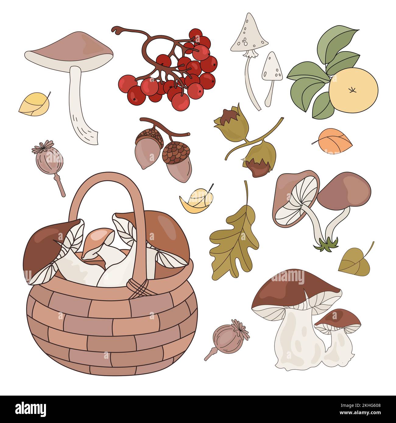 FOREST GOODS Autunno Autunno Stagione natura clip Art Vector Illustration Set for Print Illustrazione Vettoriale