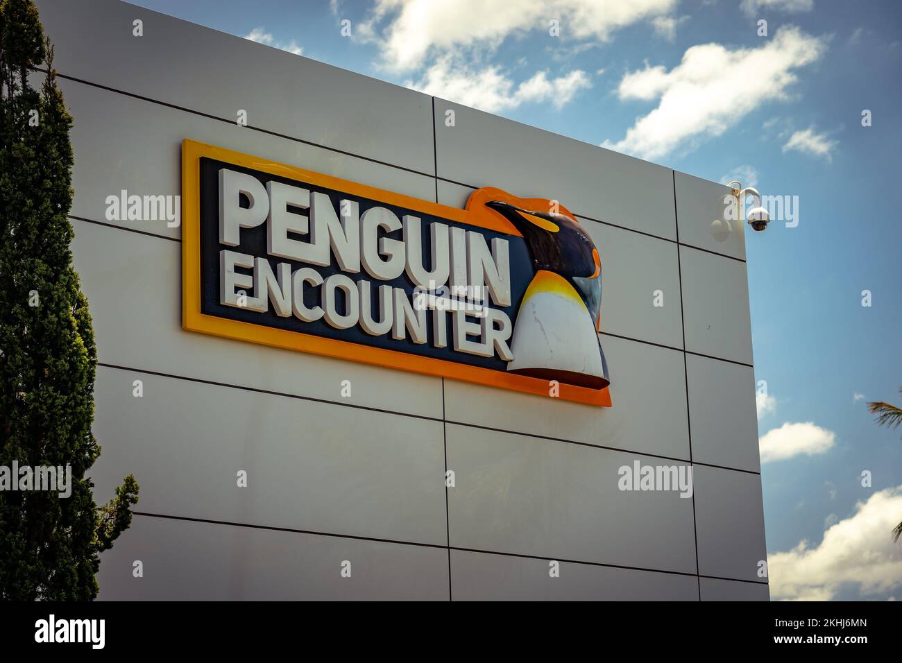 Gold Coast, Queensland, Australia - attrazione Penguin Encounter al parco a tema Seaworld Foto Stock