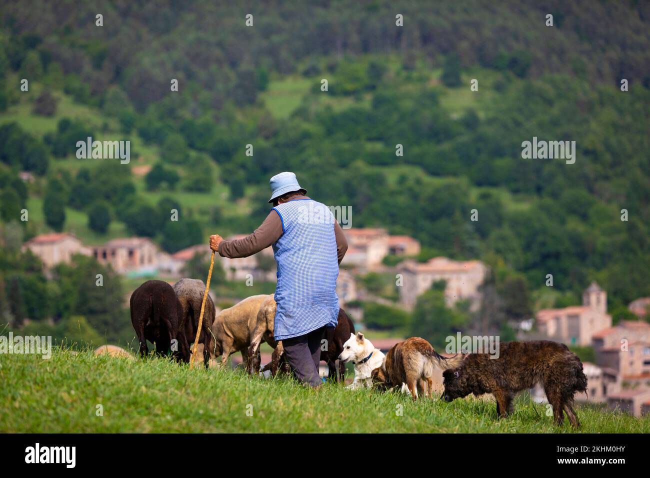 Marina Vilalta i Fajula, il pastore femminile più antico della Catalogna (distinto con Creu de Sant Jordi nell'estate 2022) Foto Stock