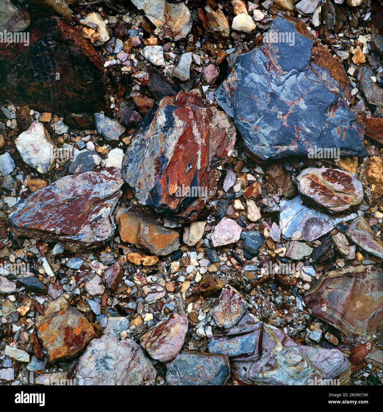 Rocce geologiche miste, pietre colorate su una riva del fiume, Borneo, Malesia orientale Foto Stock