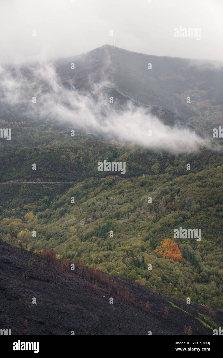 Nel luglio 2022, durante una delle estati più secche e calde mai registrate, un devastante incendio devastò la Serra do Courel, a Lugo, in Galizia, per due persone Foto Stock