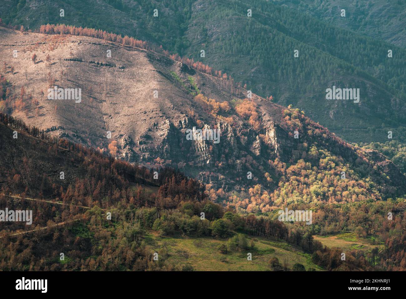 Nel luglio 2022, durante una delle estati più secche e calde mai registrate, un devastante incendio devastò la Serra do Courel, a Lugo, in Galizia, per due persone Foto Stock