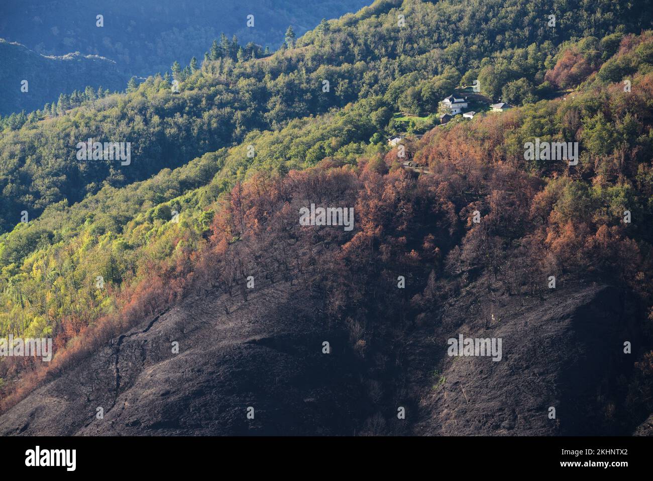 Nel luglio 2022, durante una delle estati più secche e calde mai registrate, un devastante incendio devastò la Serra do Courel, a Lugo, in Galizia, per due persone Foto Stock