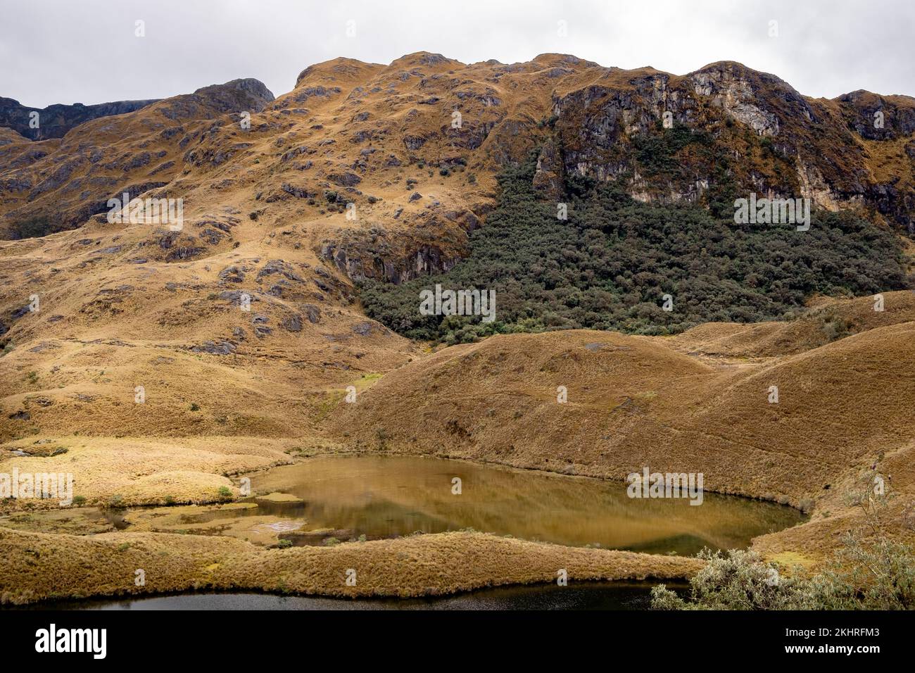 Vista panoramica di una laguna di un ghiacciaio nel Parco Nazionale di Cajas nelle Alte andine dell'Ecuador, Ande tropicali. Foto Stock