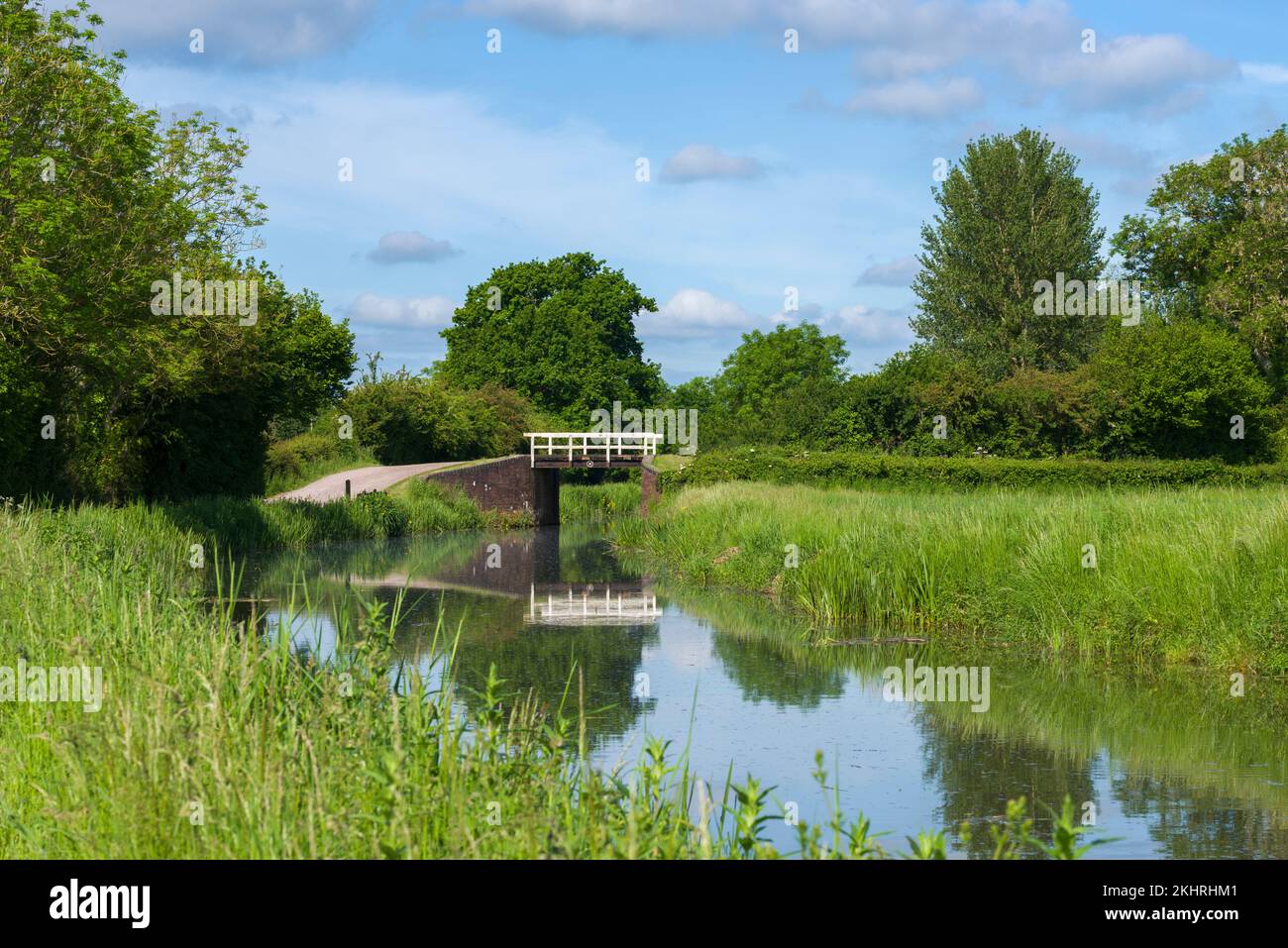 Un ponte sul canale Bridgwater e Taunton nella campagna di Creech St Michael, Somerset, Inghilterra. Foto Stock