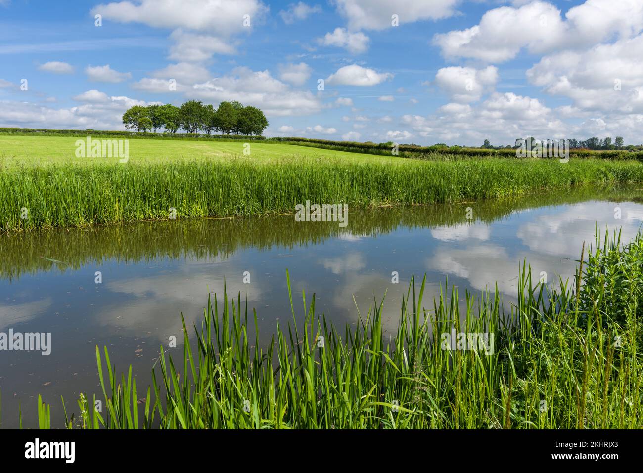 Il Bridgwater e il canale Taunton nella campagna di Creech St Michael, Somerset, Inghilterra. Foto Stock