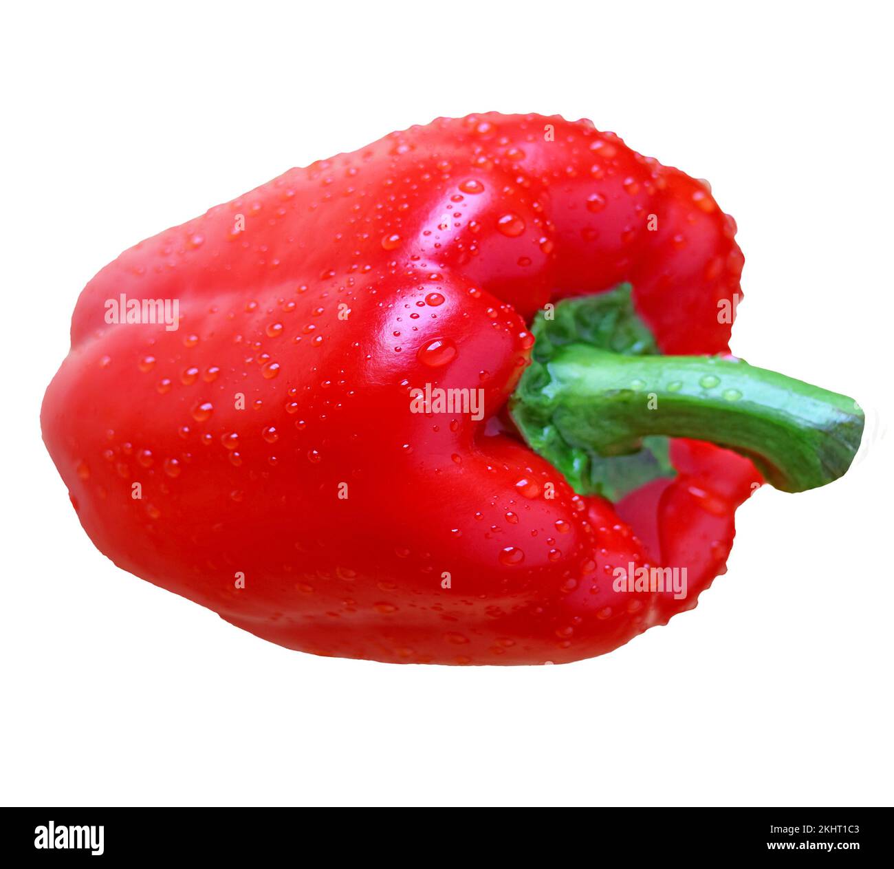 Primo piano di peperone rosso vivo con gocce d'acqua isolate su fondo bianco Foto Stock