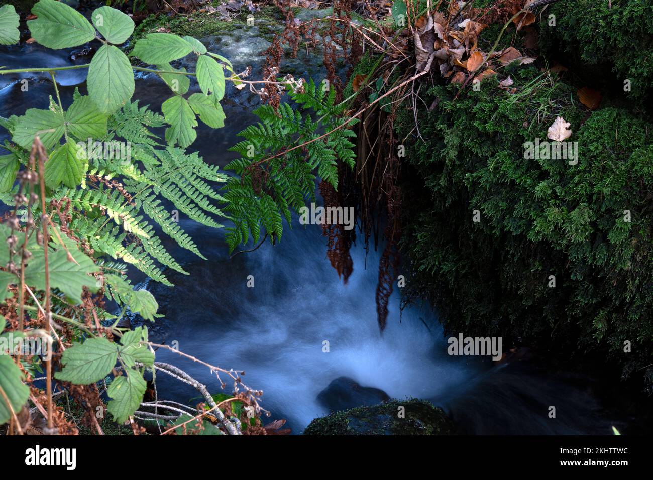 Acqua dolce che scorre attraverso una lussureggiante vegetazione boschiva temperata lungo il tragitto per Aira Beck, Lago Ullswater, Cumbria, Regno Unito Foto Stock