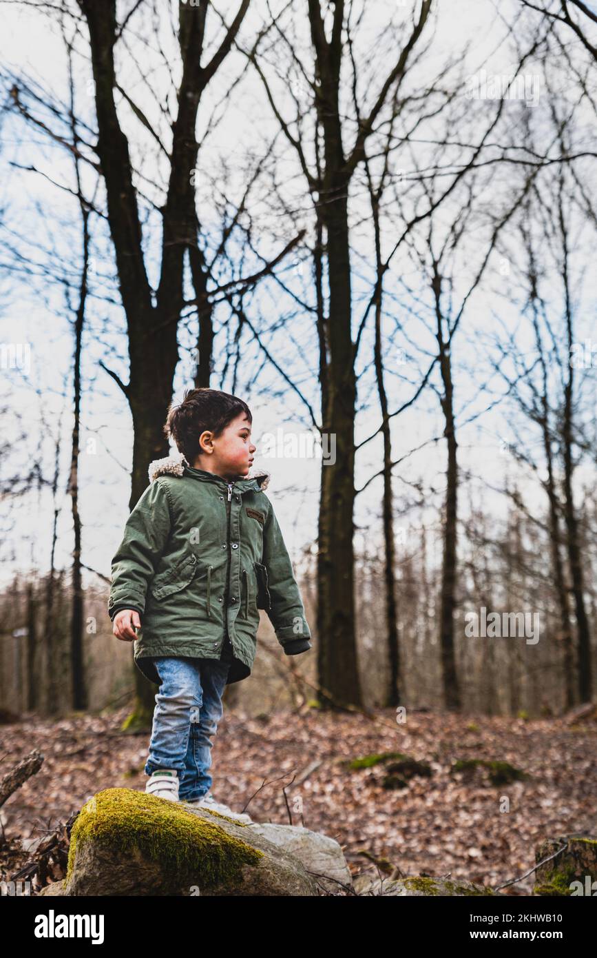 Il bambino che sta in piedi su una roccia nel bosco sta osservando la natura. I bambini che esplorano la foresta stanno fissando gli alti alberi che si sentono penosi e riflettenti Foto Stock