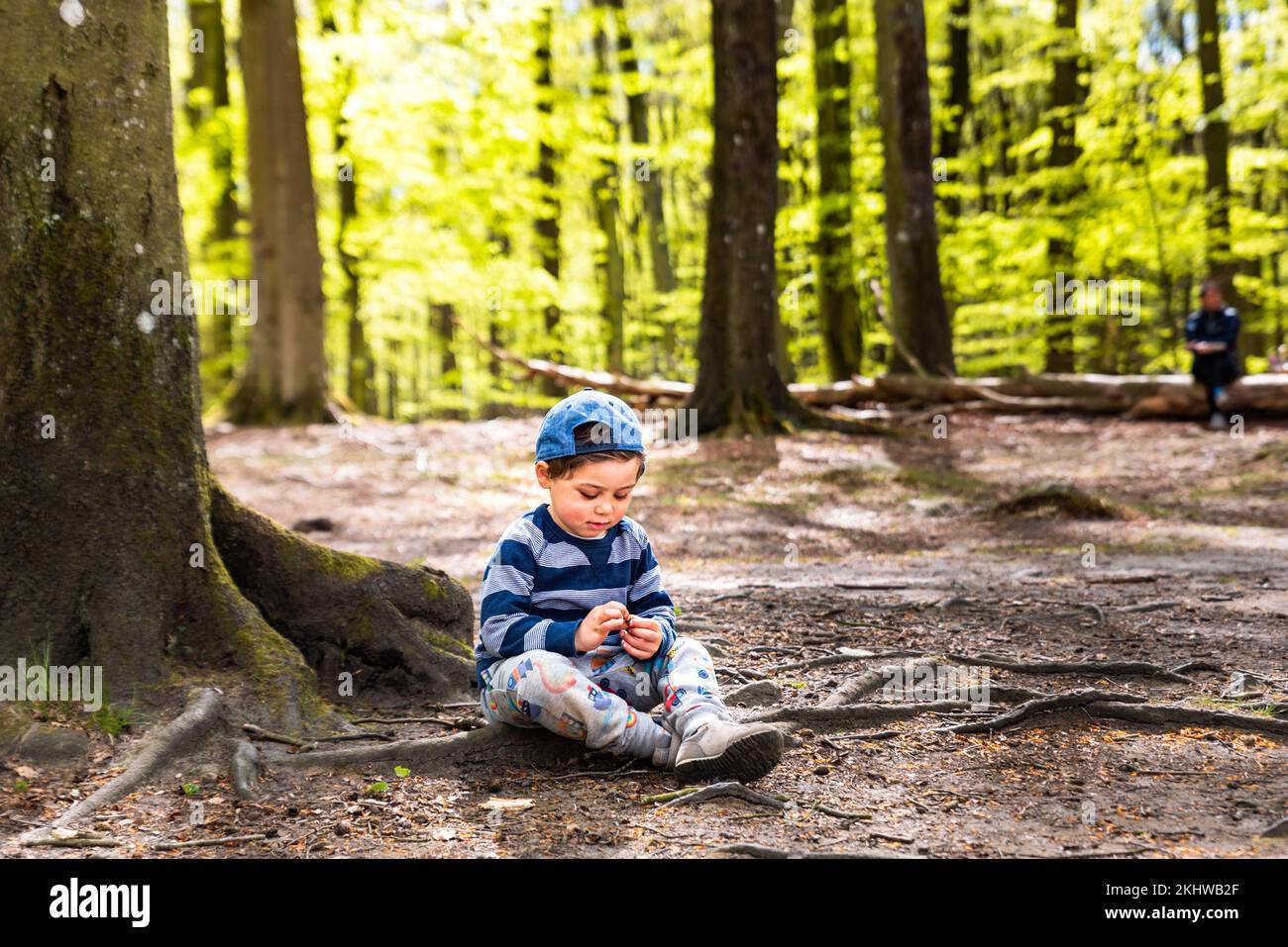 Il ragazzo seduto sulle radici dell'albero sta riposando all'ombra di un trasportatore di foresta. Bambino di cinque anni che si rilassa nel bosco osservando l'ambiente Foto Stock