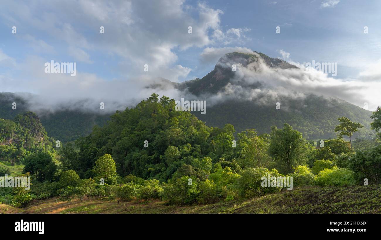 Paesaggio rurale di prima mattina con montagna in nuvole vicino a Chiang Dao, Chiang mai, Thailandia Foto Stock