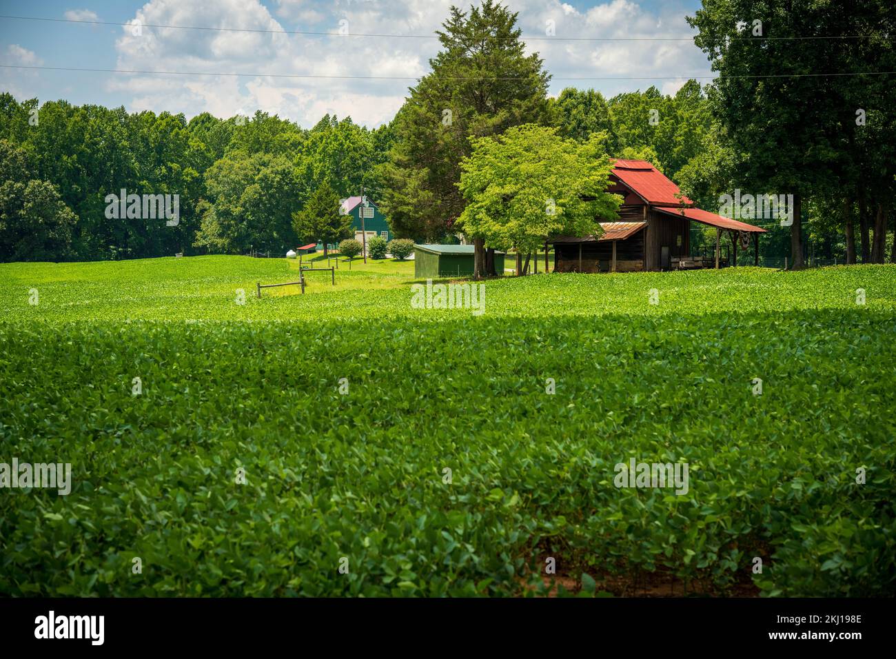 Paesaggio del coltivatore in Virginia con fienile agricolo Foto Stock