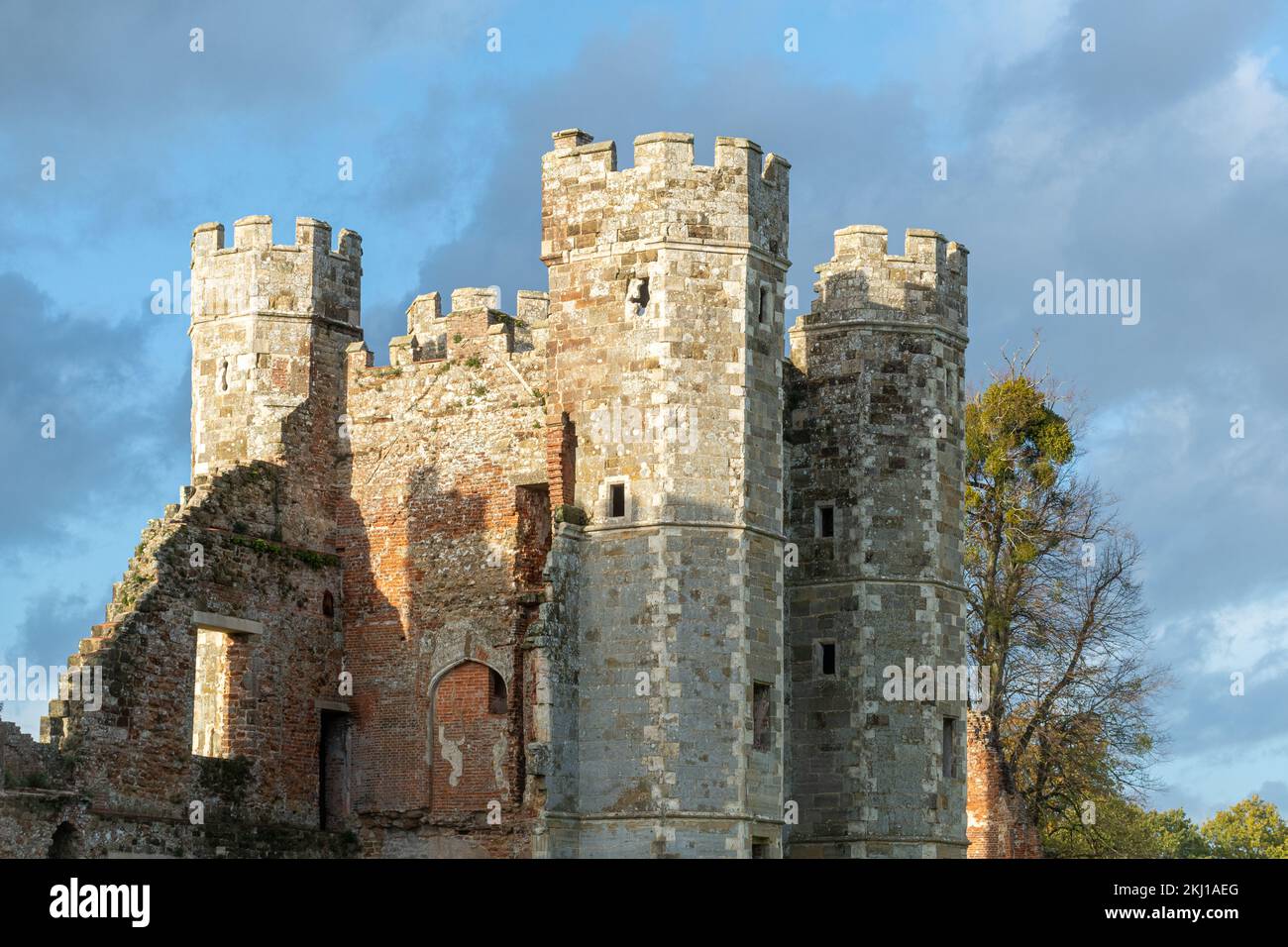 Le rovine di Cowdray House a Cowdray Park, Midhurst, West Sussex, Inghilterra, Regno Unito, Nel mese di novembre Foto Stock