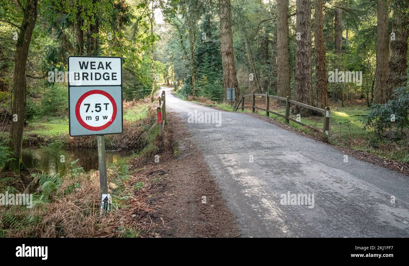 Cartello stradale che indica un ponte debole nella New Forest. Foto Stock