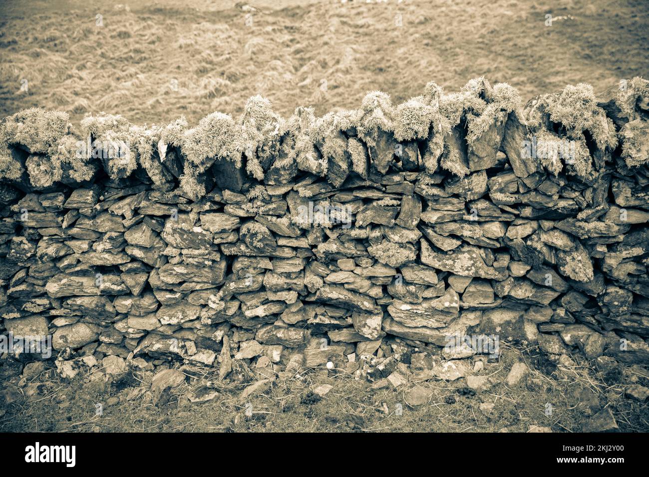 Irlanda, Inishbofin, un'isola sulle isole più occidentali al largo della costa irlandese, muri a secco in pietra Foto Stock
