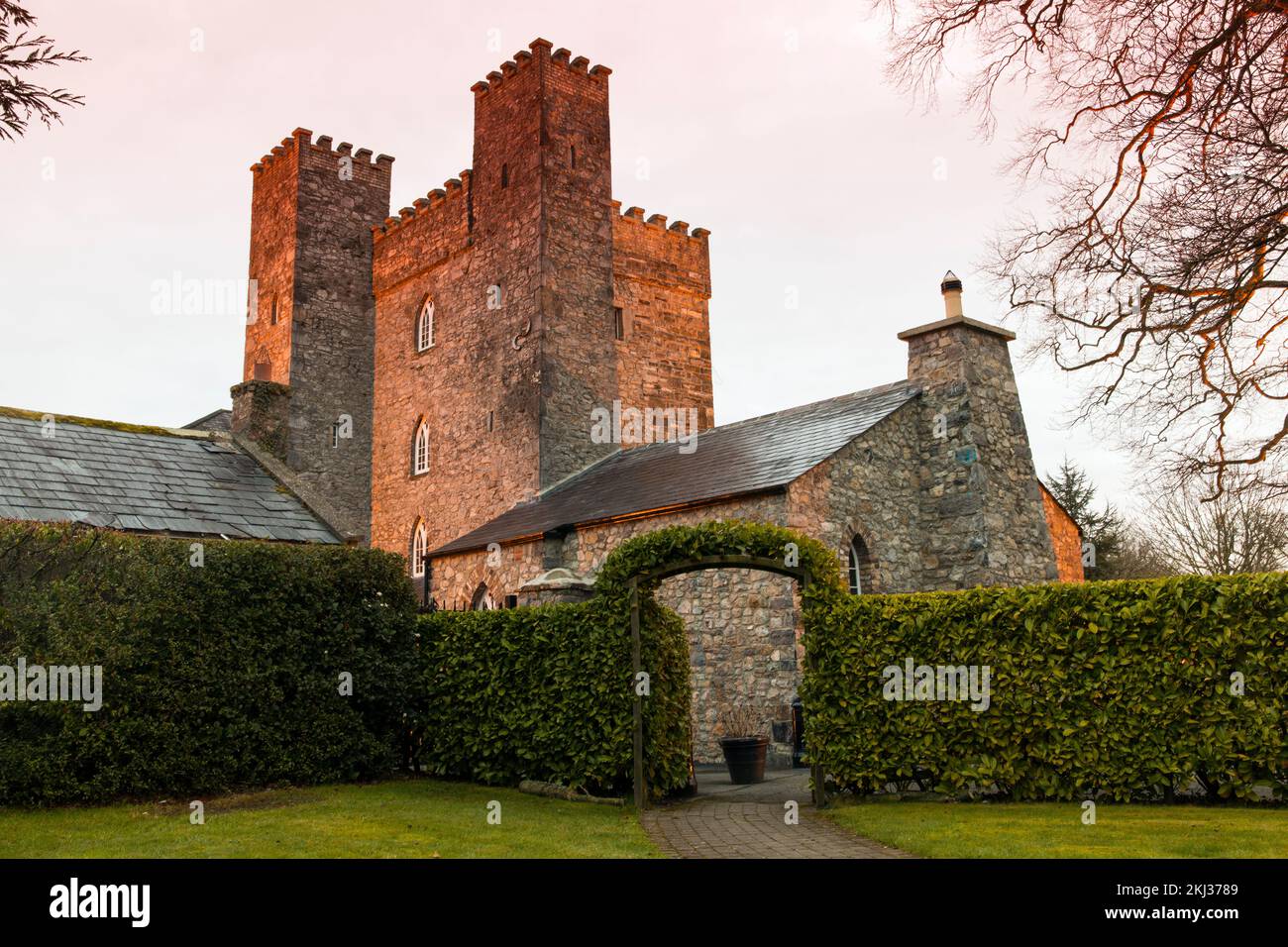 Irlanda, Contea di Kildare, Straffan, Castello di Barberstown, esterno, un tempo di proprietà del musicista Eric Clapton Foto Stock