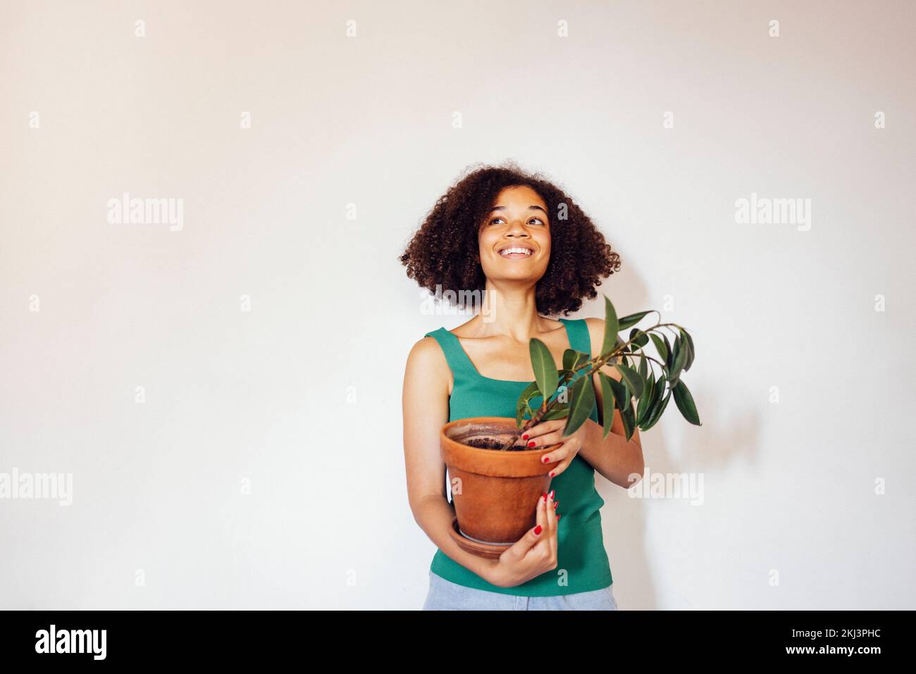 Giovane donna sorridente divertente di etnia afroamericana indossa t-shirt verde tiene casa pianta albero isolato su sfondo bianco Foto Stock