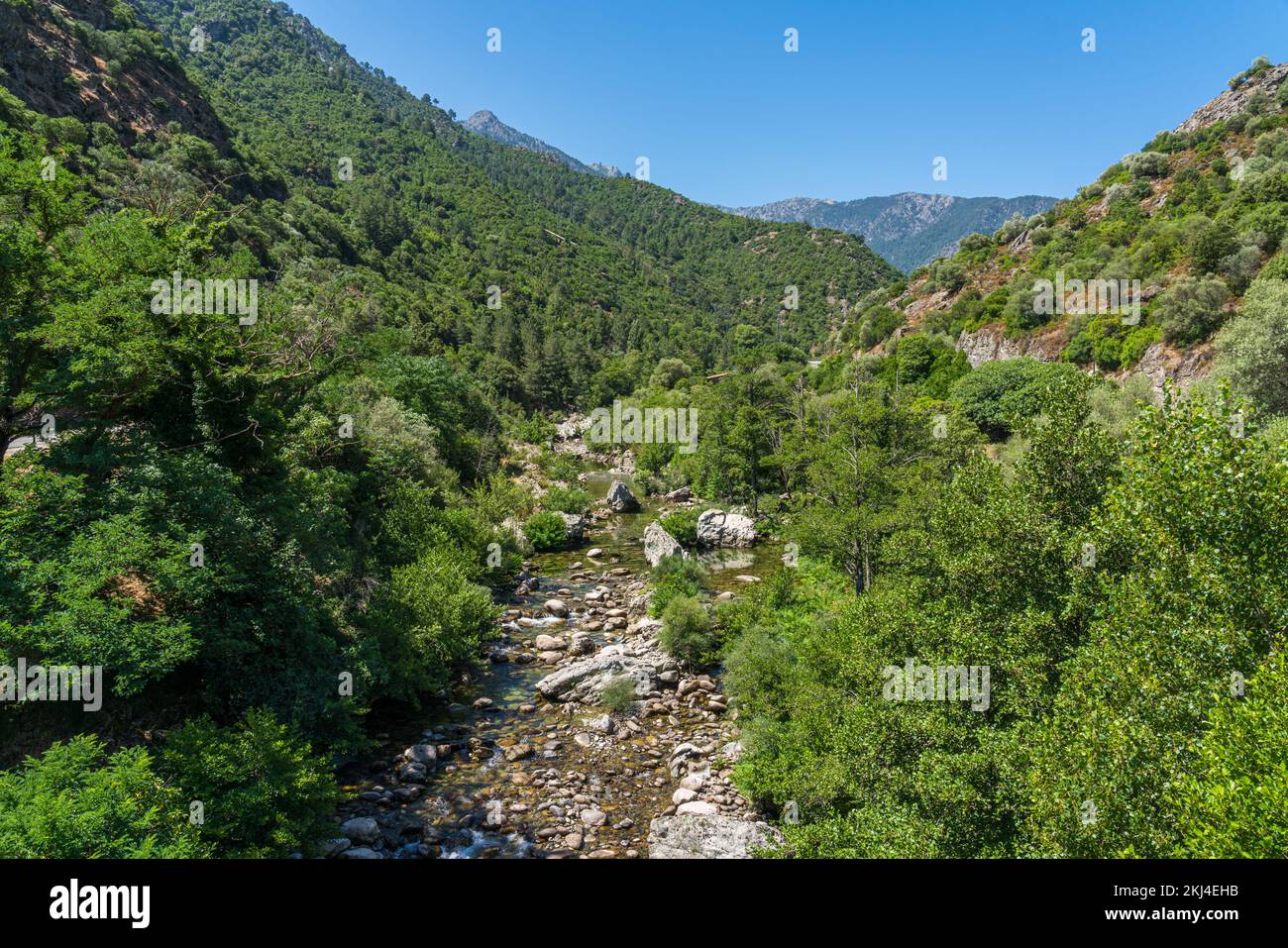 Il bel fiume Golo vicino alla città di Corte, in Corsica, Francia. Foto Stock