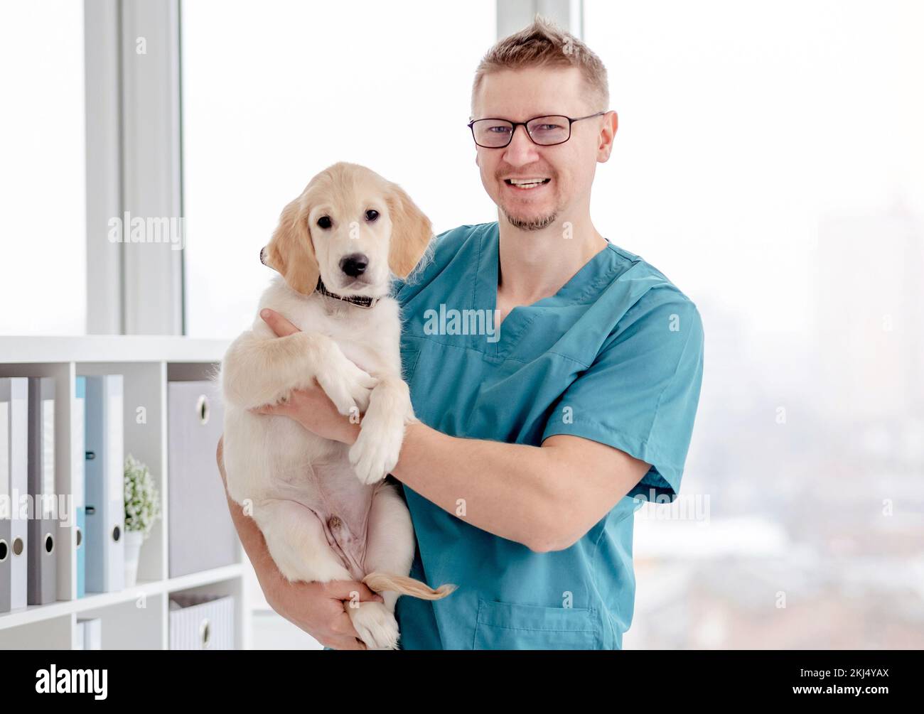 Bel veterinario che tiene sano giovane cane in clinica Foto Stock