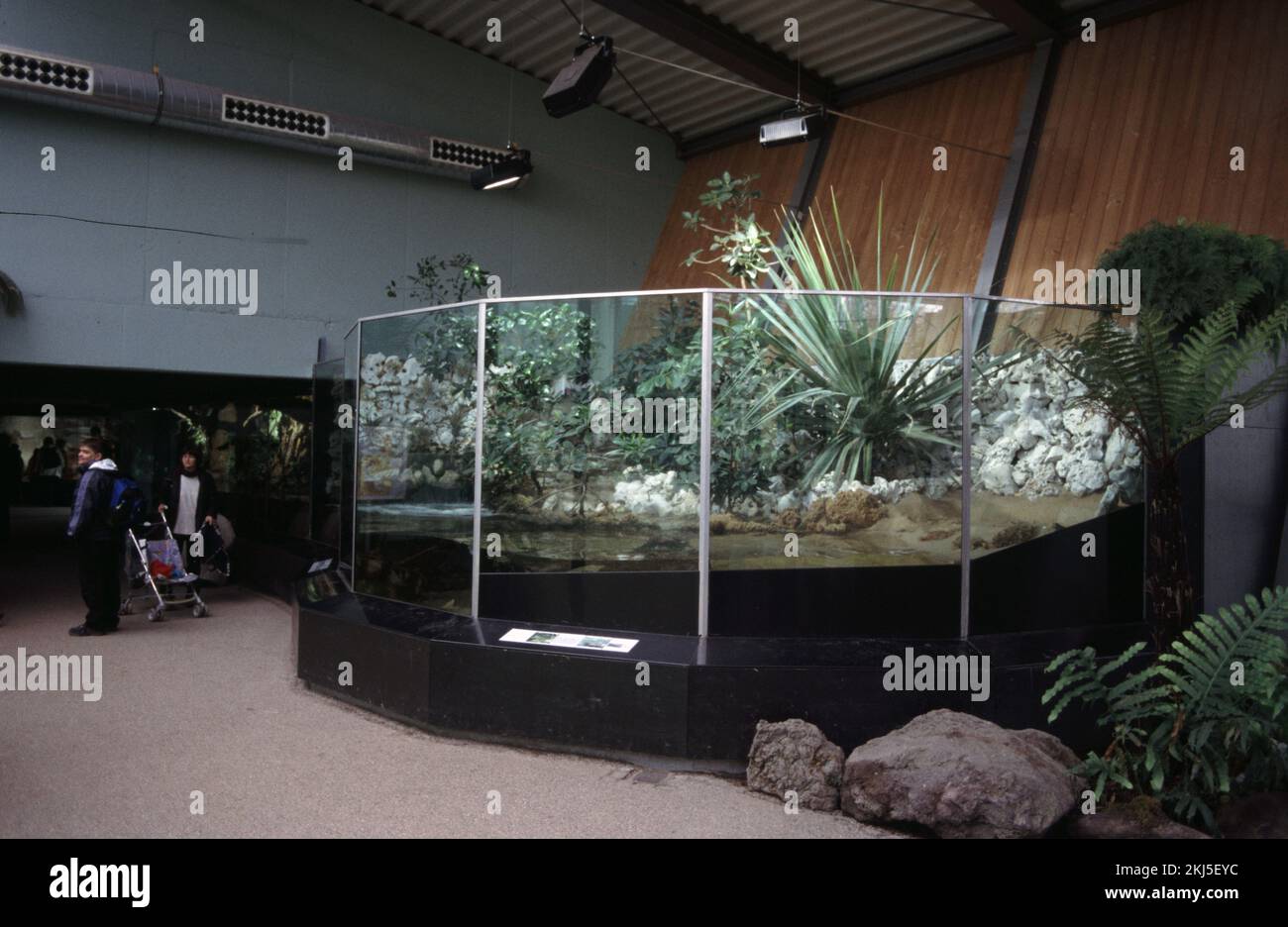 Grande serbatoio d'acqua salmastra di mangrovie allo Zoo di Monaco Foto Stock