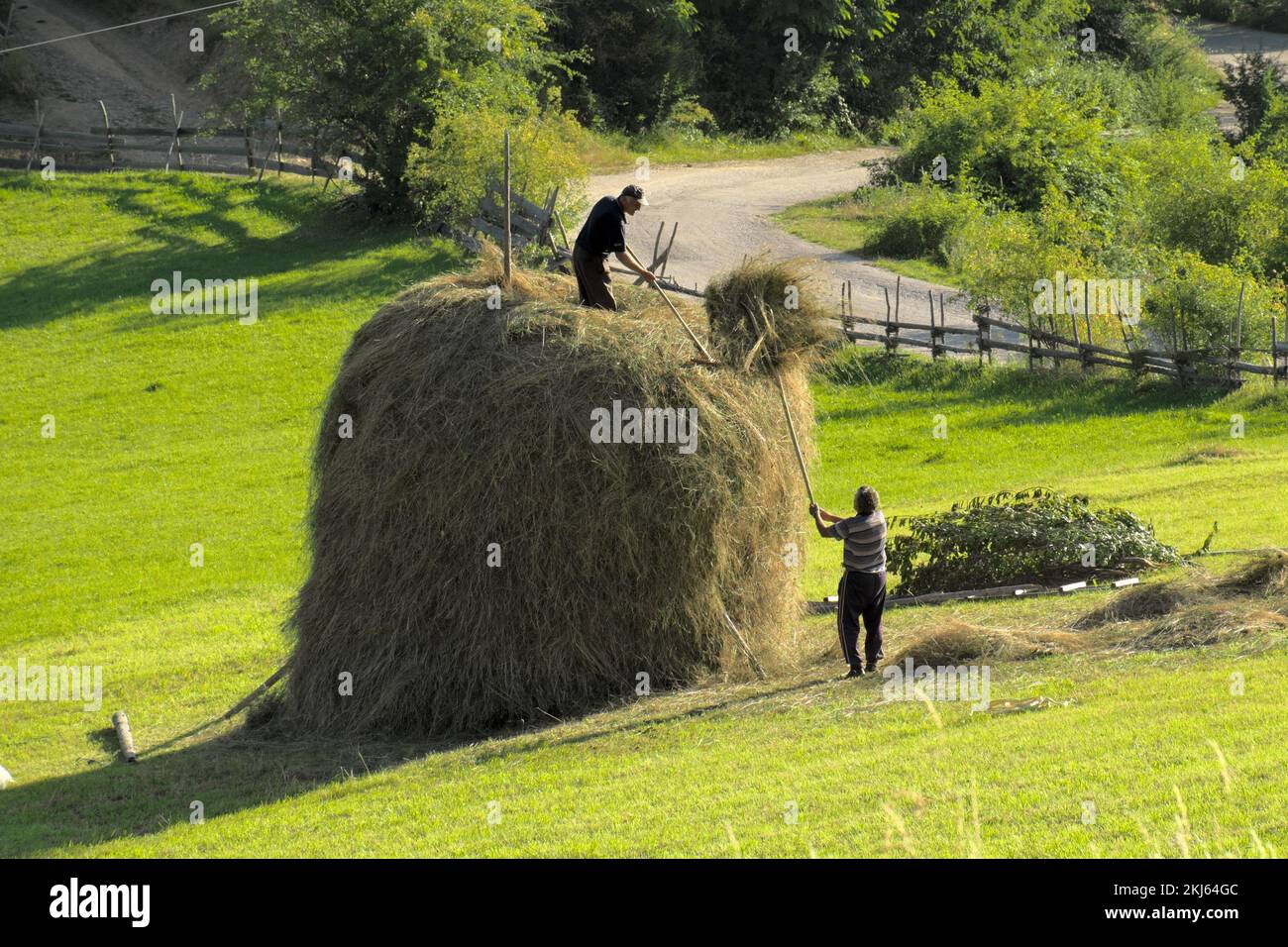 Contadini e catapotoni in un campo di Serbia, Kamena Gora (2) Foto Stock