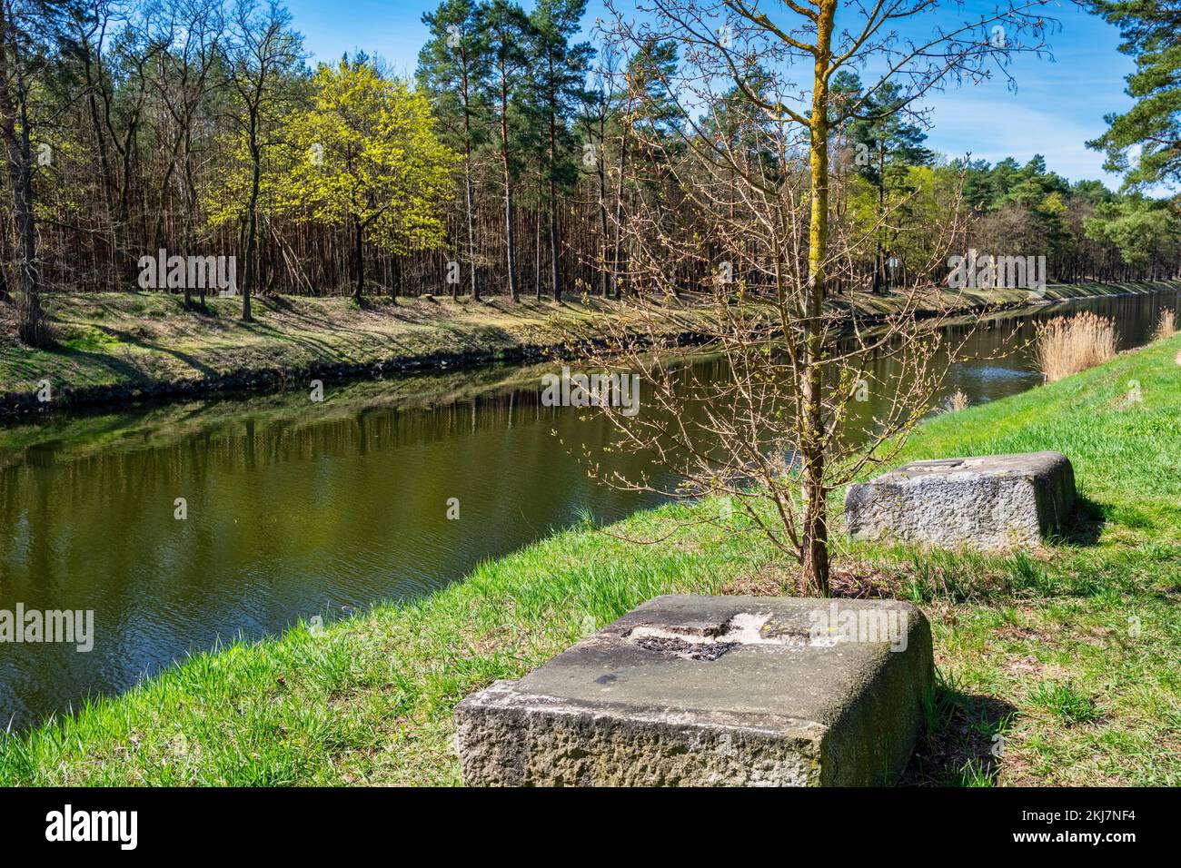 Resti di un ponte a Oder Spree Canal, Hartmannsdorf, Spreenhagen, Brandeburgo, Germania Foto Stock