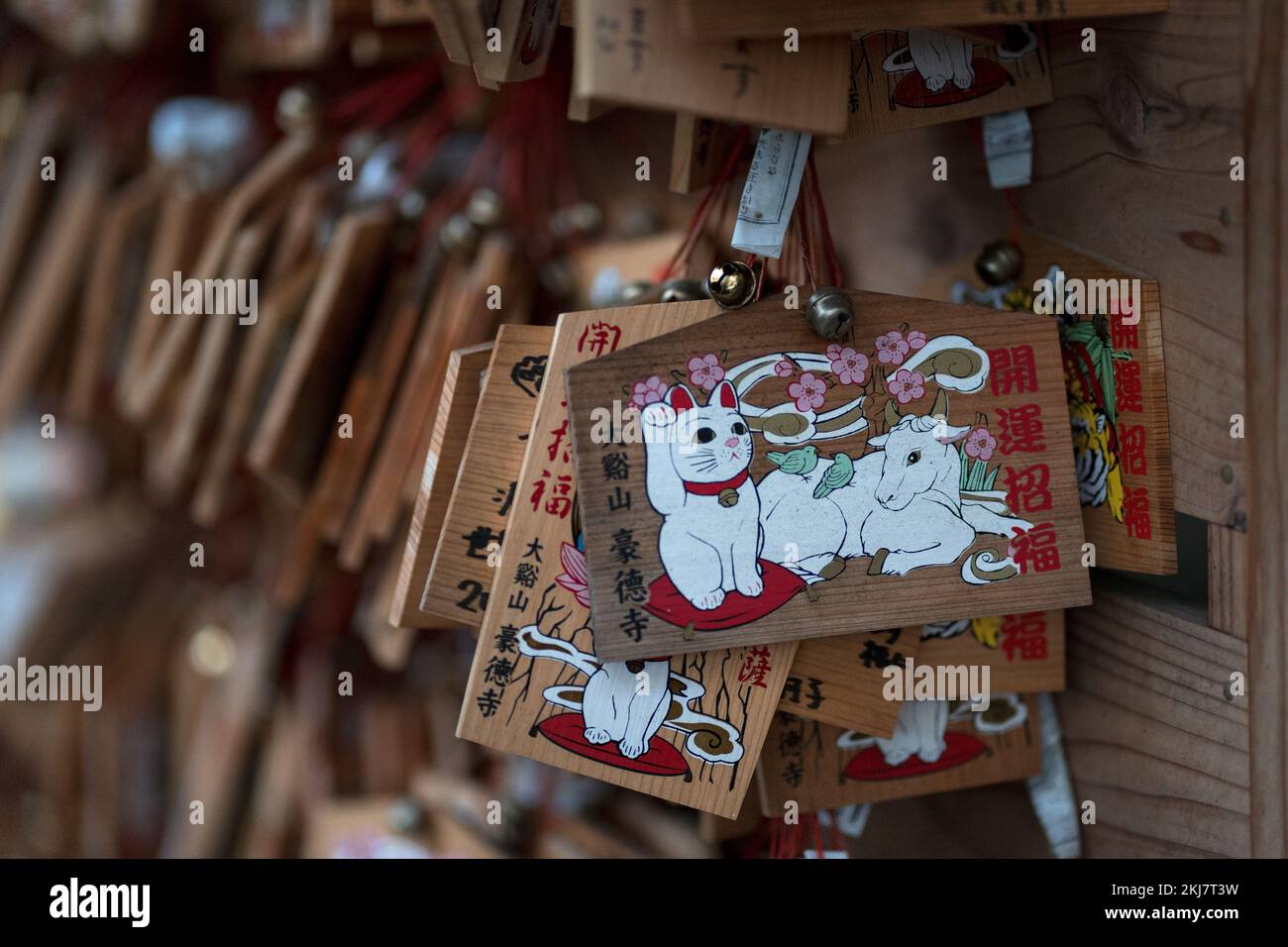 Un primo piano di placche di preghiera in legno raffiguranti un toro bianco e un gatto accogliente a Tokyo, Giappone Foto Stock