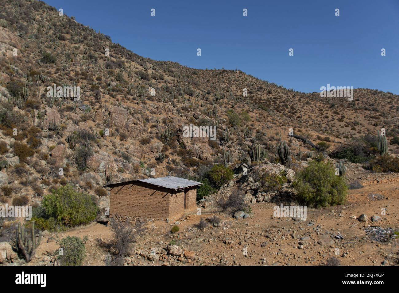 Case rurali abbandonate e fattorie nei pressi di Monte Patria, nel nord del Cile Foto Stock