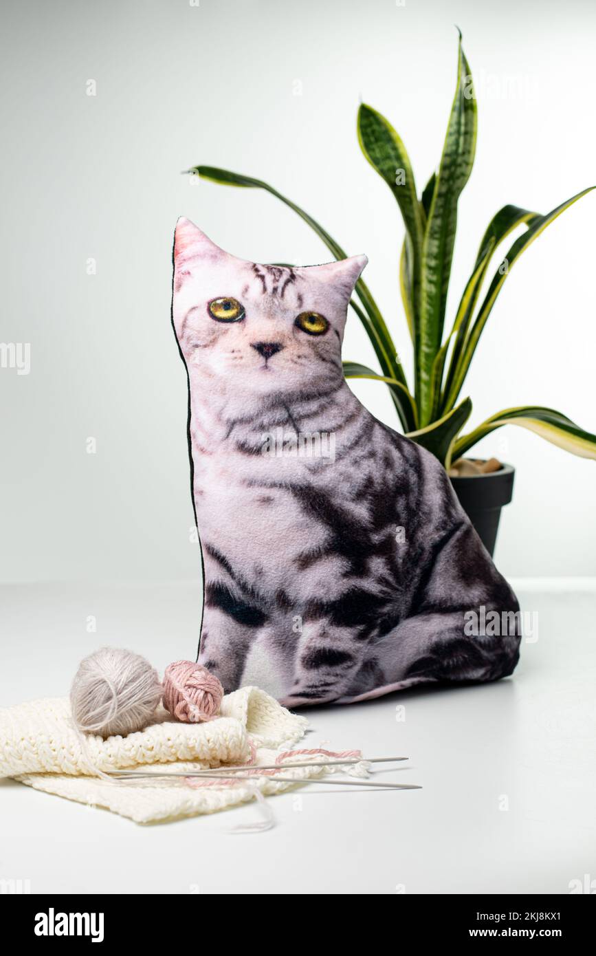 Cuscino in forma di gatto su sfondo bianco Foto stock - Alamy