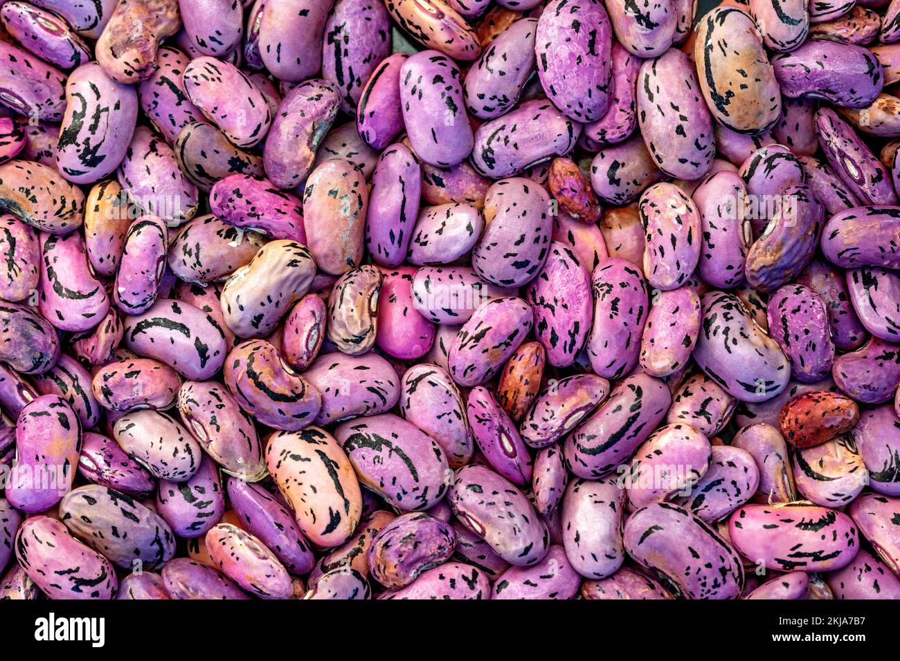 fagioli secchi del fuoco Foto Stock