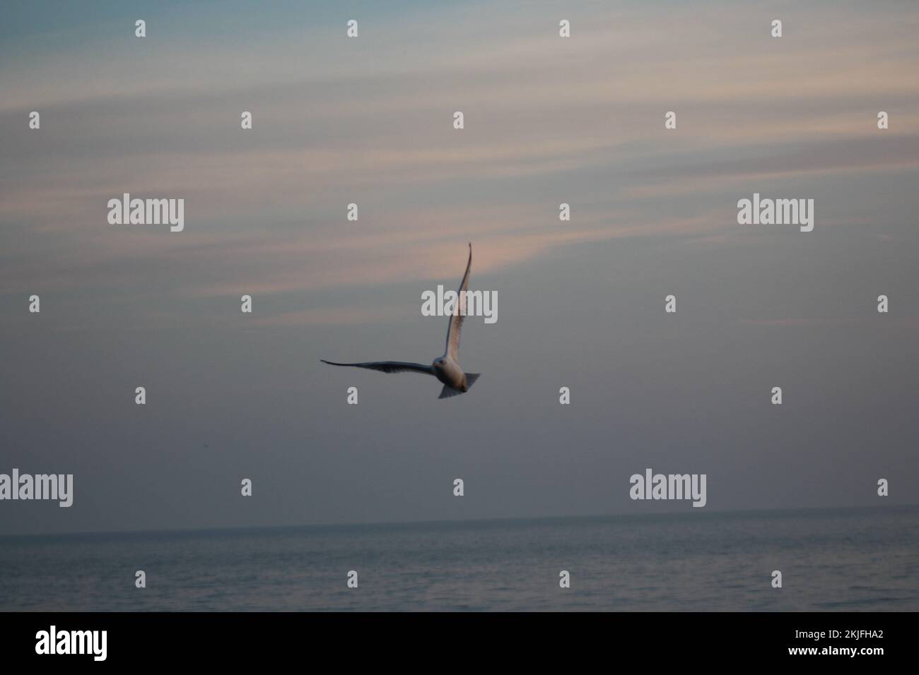 Foto al tramonto sul lago Toronto Foto Stock