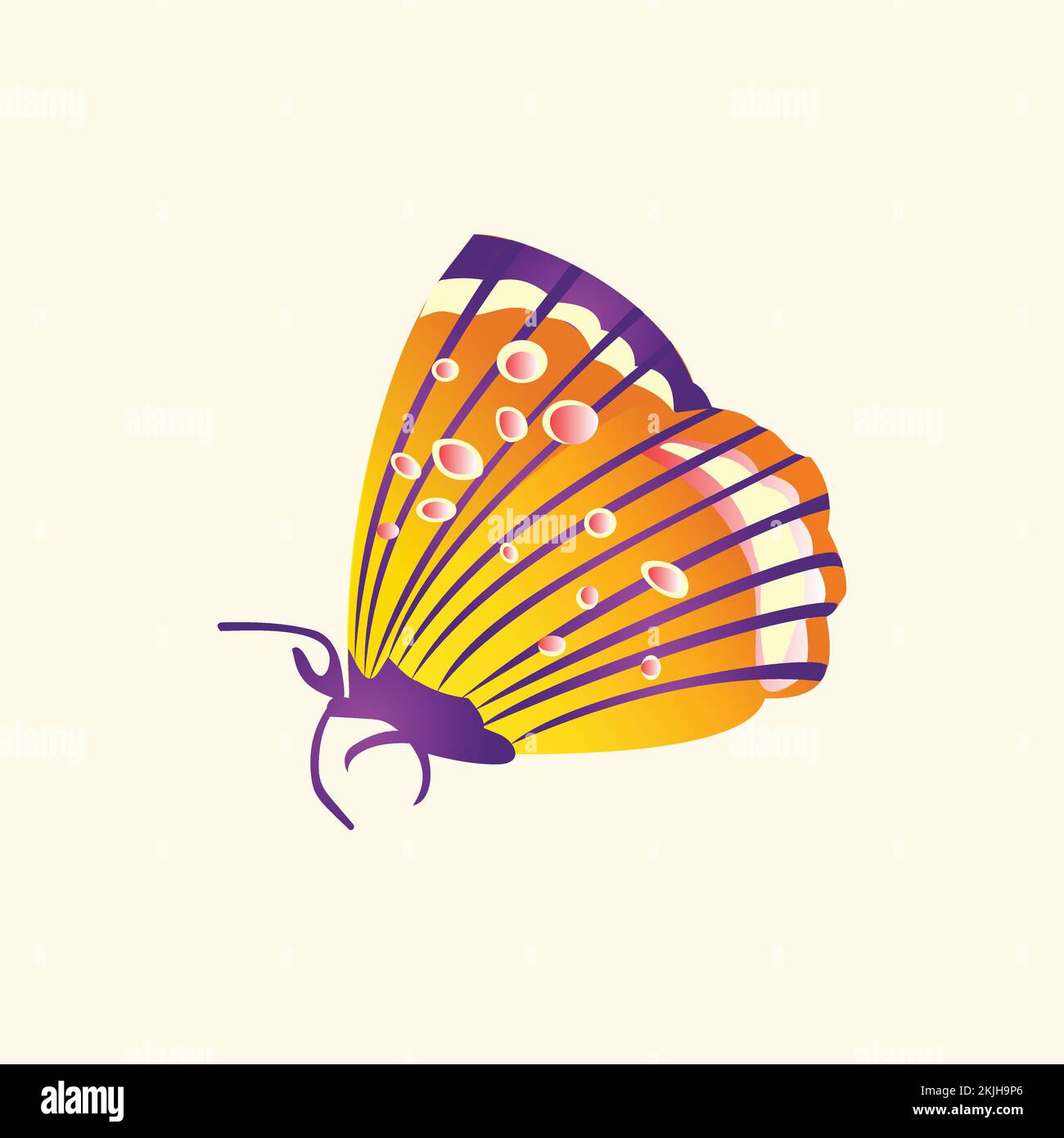 Stylist farfalla colorata Vector illustrazione di uno sfondo pulito Illustrazione Vettoriale