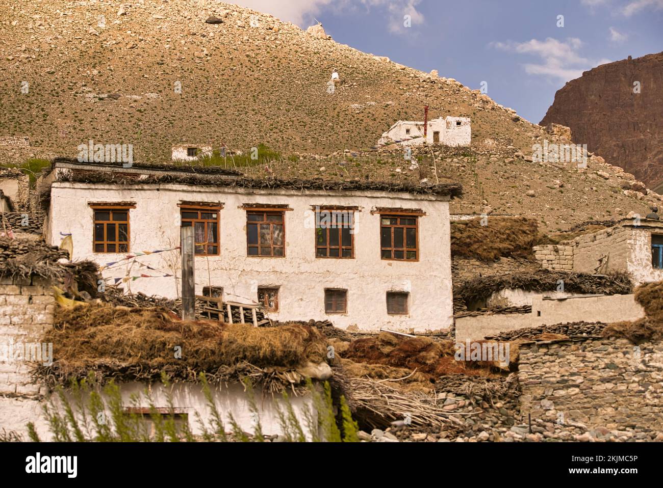 Tradizionali case di fango, pietra, legno e paglia delle fredde regioni desertiche di montagna di Ladakh e Zanskar Foto Stock